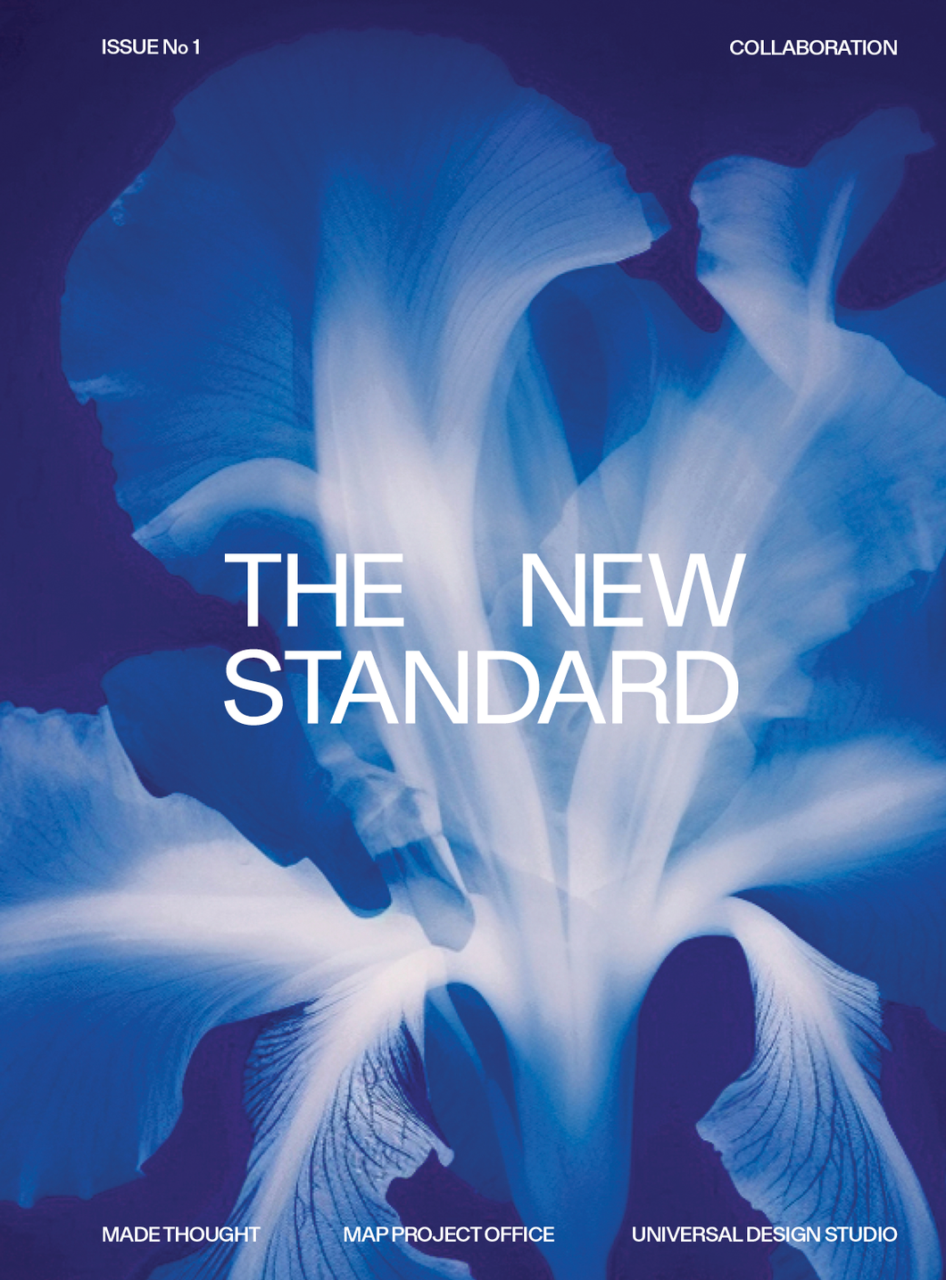 The New Standard Issue No. 1 - Collaboration